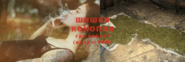 шишки Арсеньев