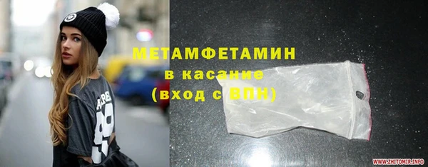 шишки Арсеньев