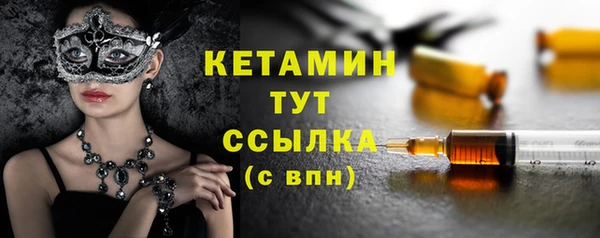 шишки Арсеньев