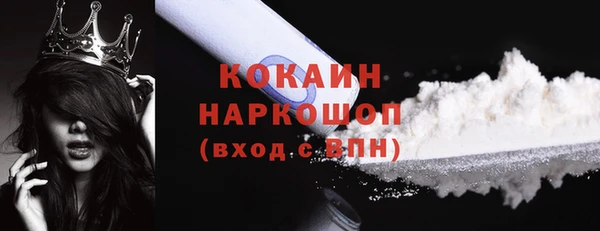 шишки Арсеньев