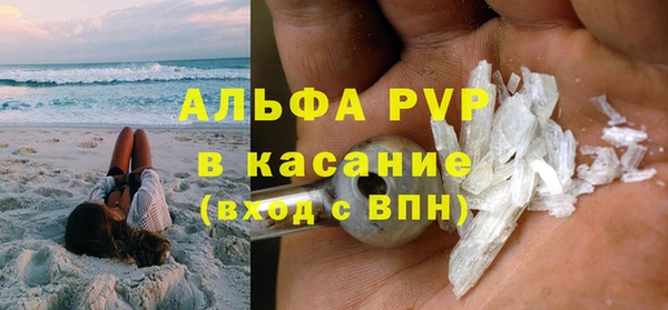 шишки Арсеньев