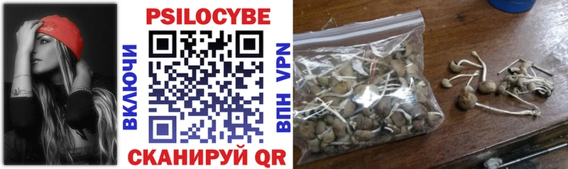 гидра tor  Ртищево  Галлюциногенные грибы прущие грибы 
